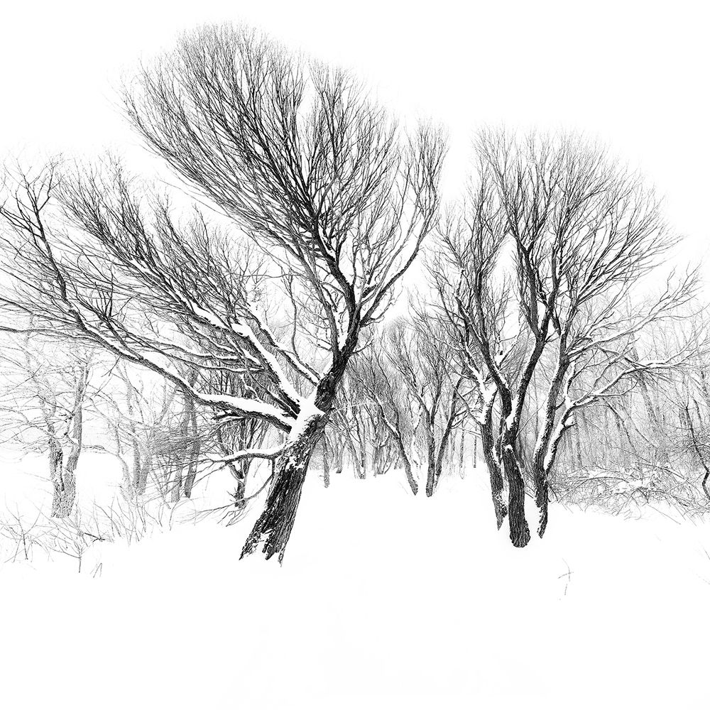 Фотография автора Василий Рябовол