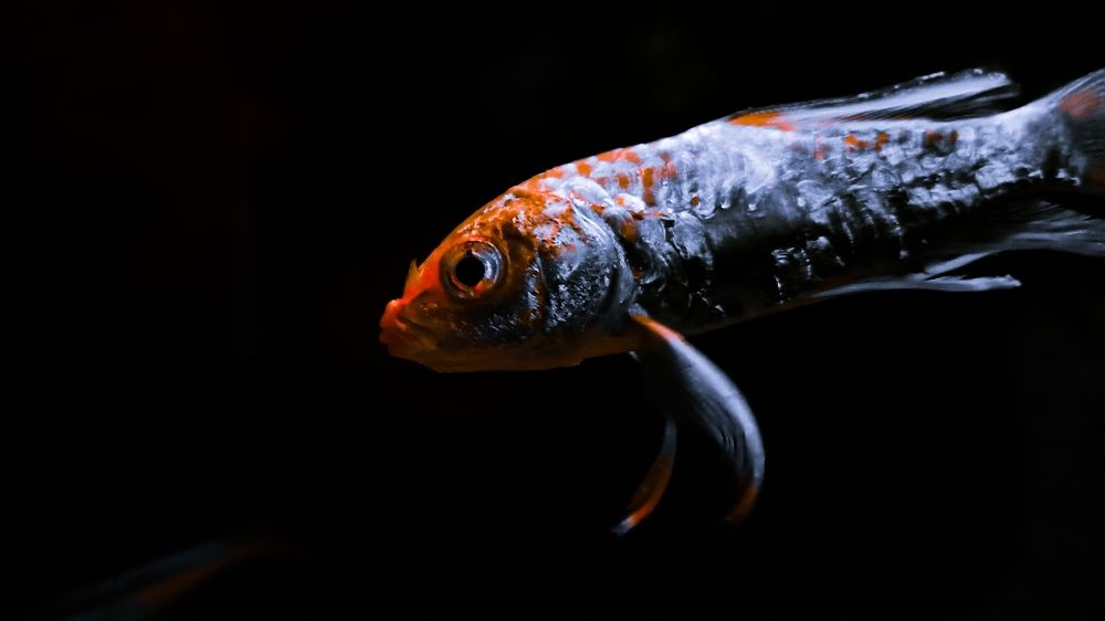 Photograph by Bhautik Lakhani