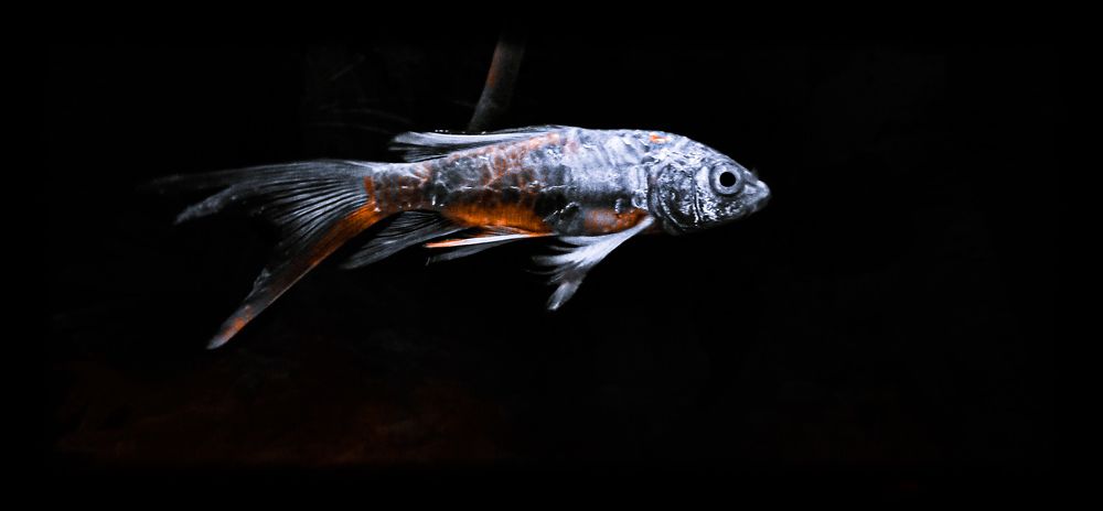 Photograph by Bhautik Lakhani