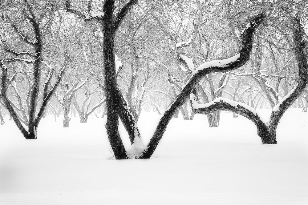 Фотография автора Василий Рябовол