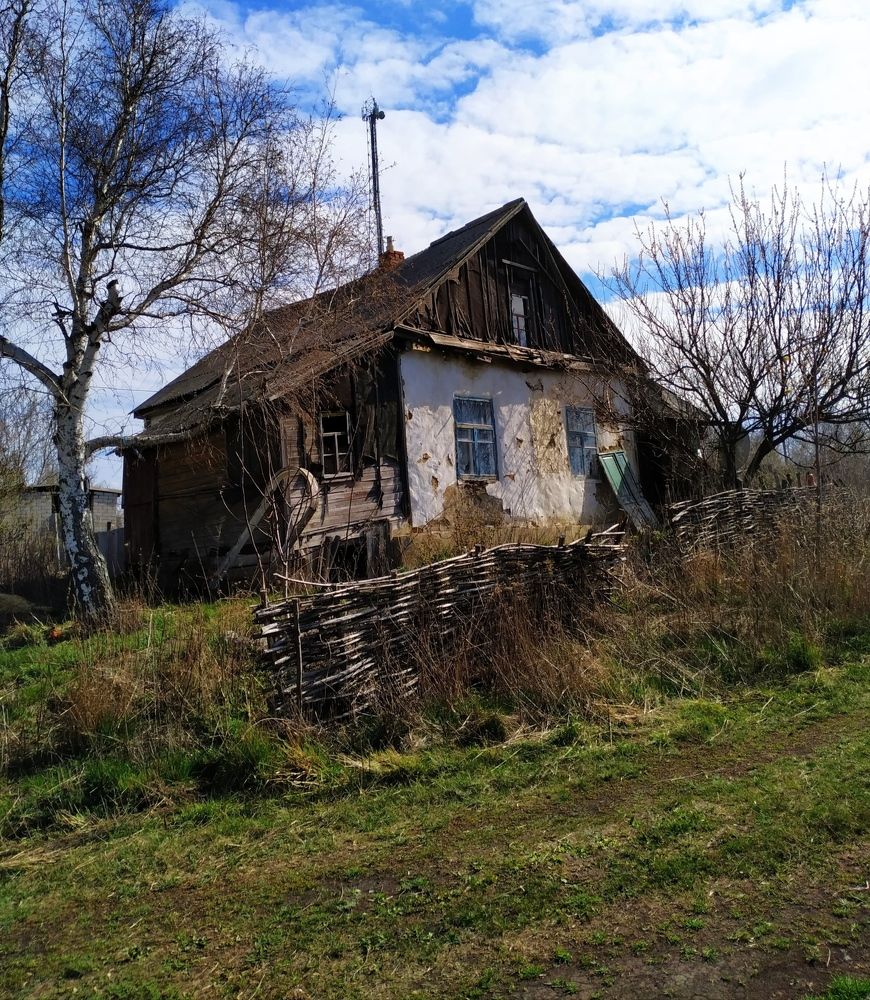 Photo #5779039