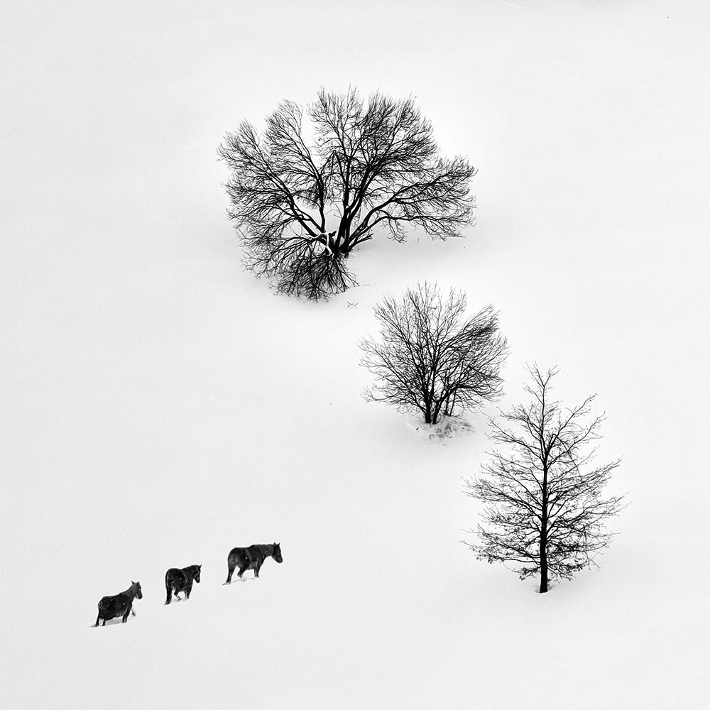 Photograph by Красимир Матаров