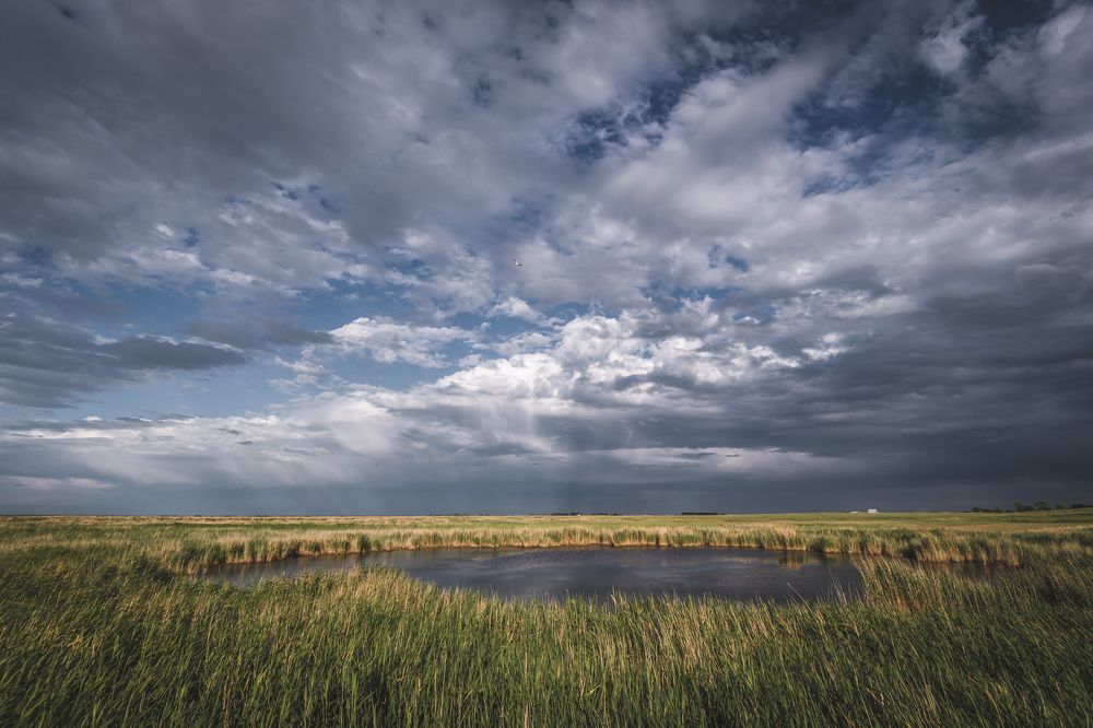 После дождя.