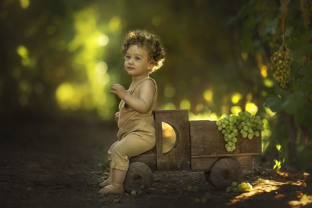 Photograph by yarden kaplan