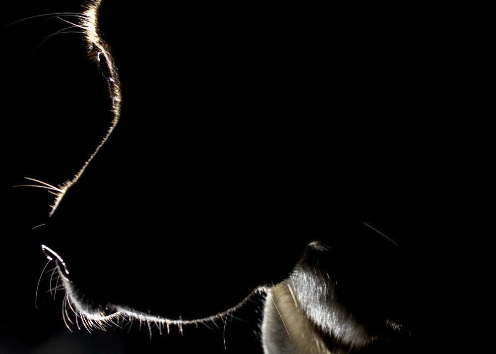 Photograph by Александр Березовский