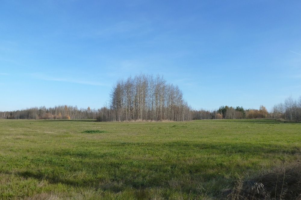 Photograph by Владислав Завальнюк