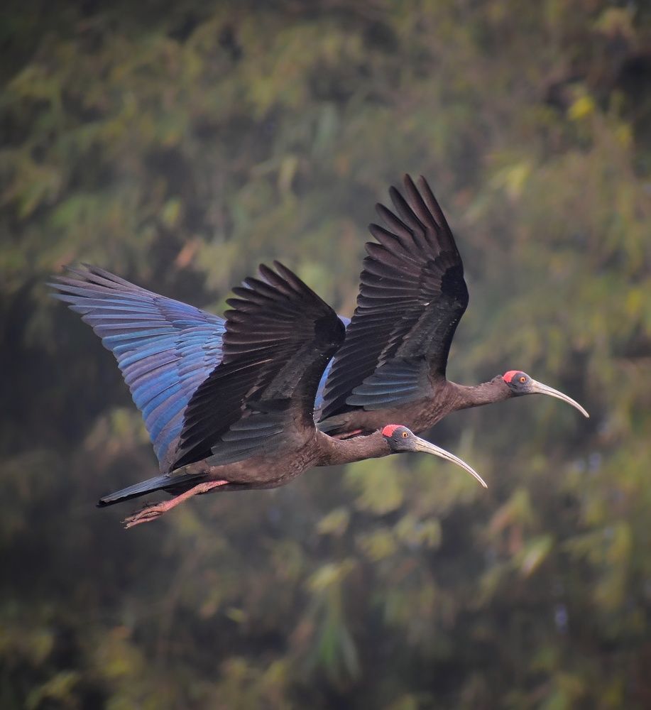 Photograph by Srinjoy