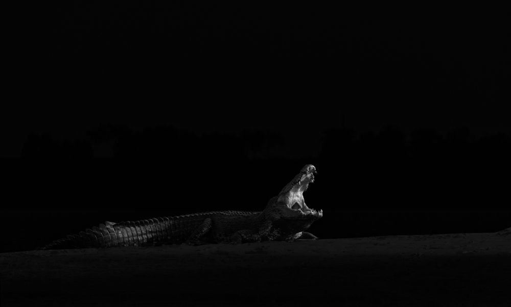 Фотография автора Ashok Behera