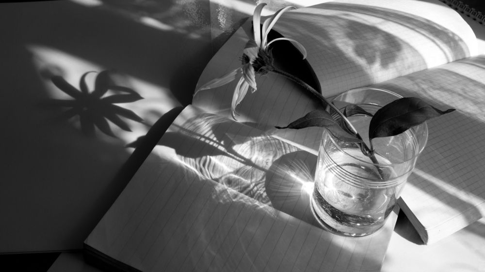 Август. Скоро в школу