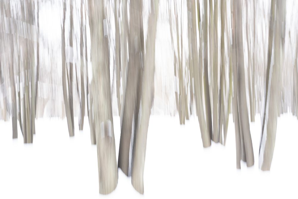 Волшебный пейзаж