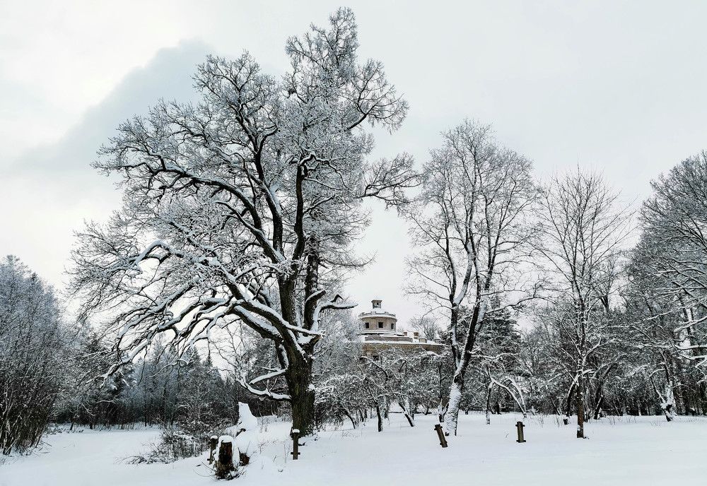 усадьба Демидовых