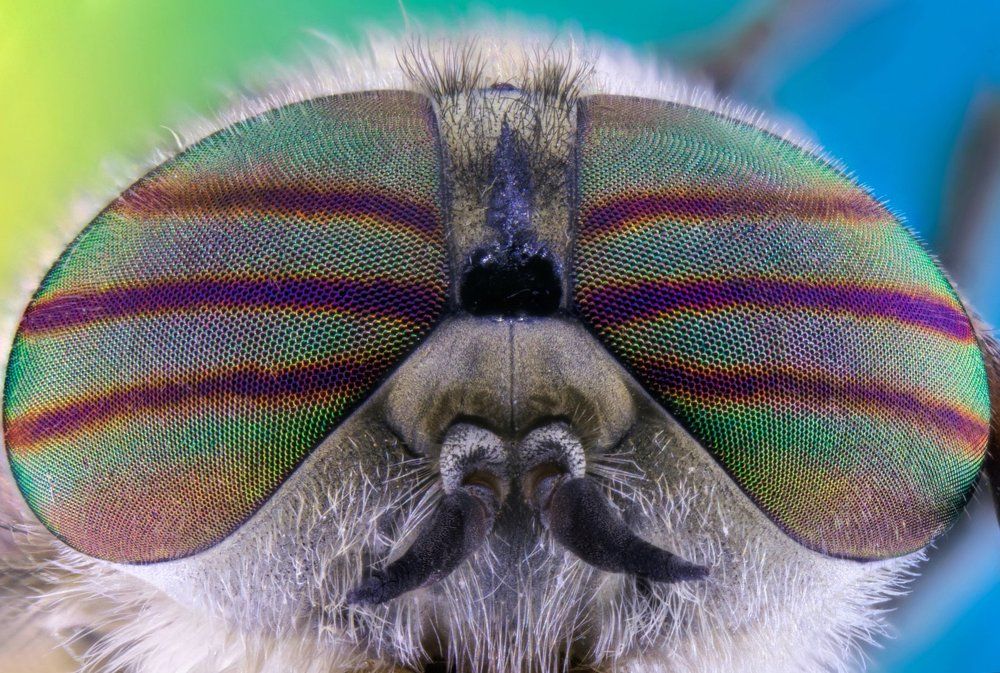 Photograph by Павел Сагайдак