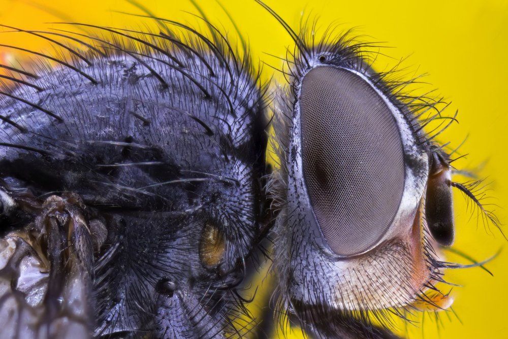 Photograph by Павел Сагайдак