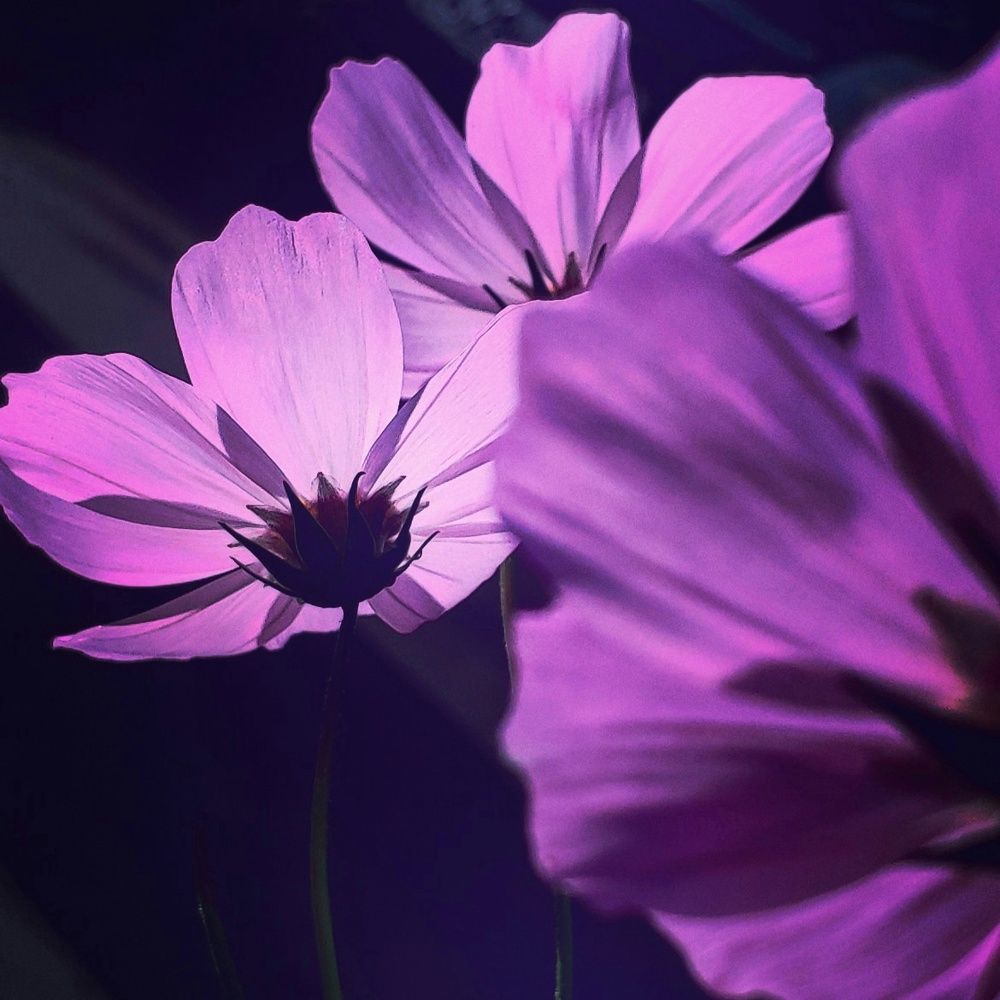 Фотография автора Мария Капатурина