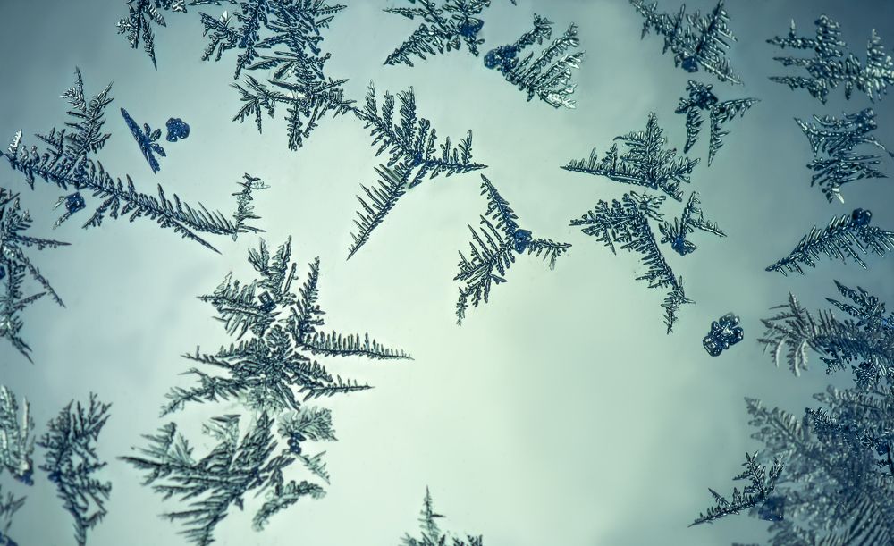 Photograph by Тараненко Анжелика