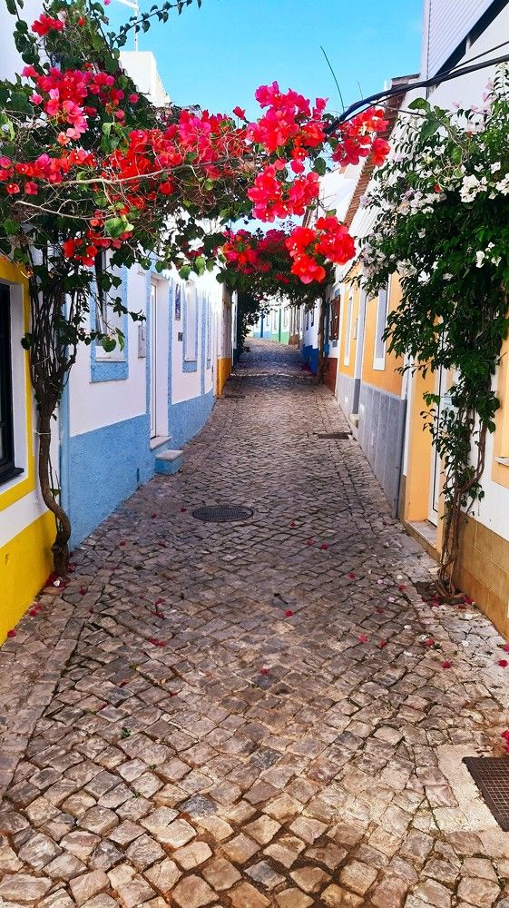 Photograph by Вадим Шахтарин