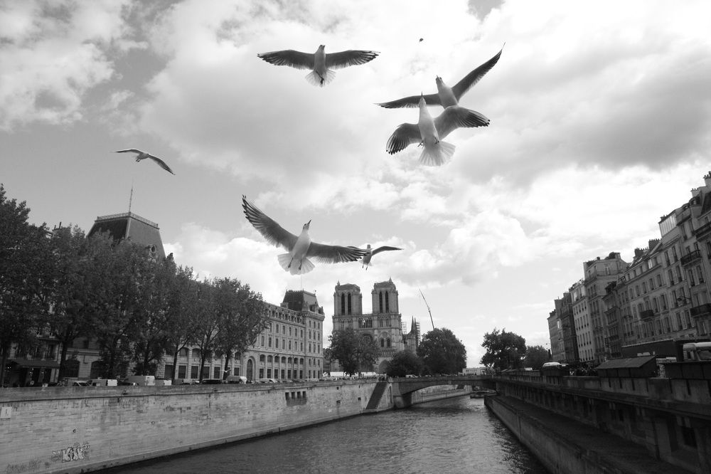 Photograph by Nadezhda Bakina