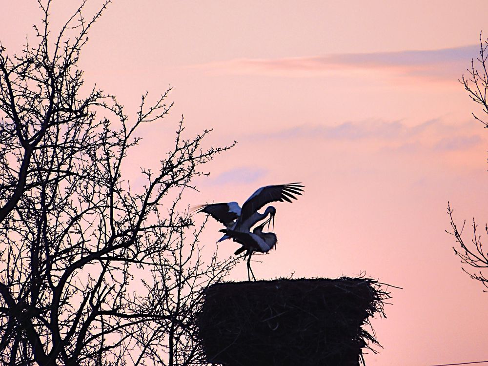 Photograph by Іван Березовський