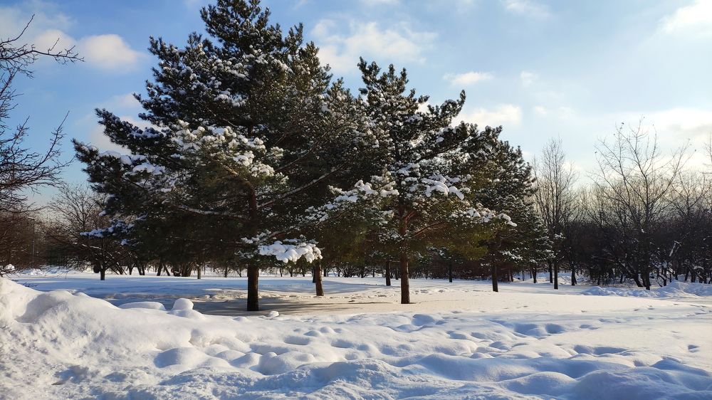 Photograph by Ксения Щербакова