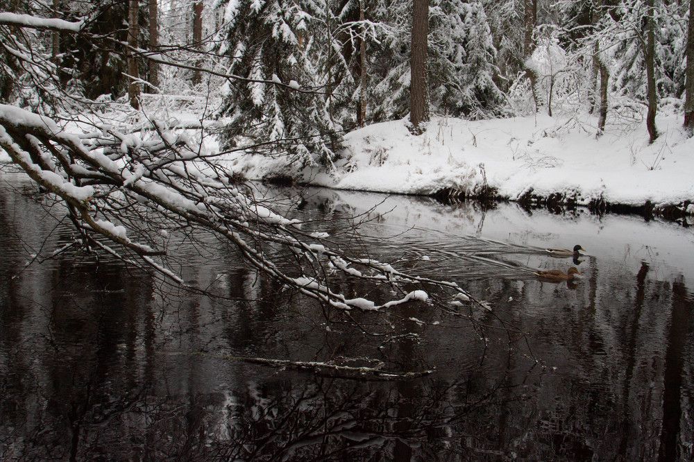 Photograph by Nadezhda Bakina