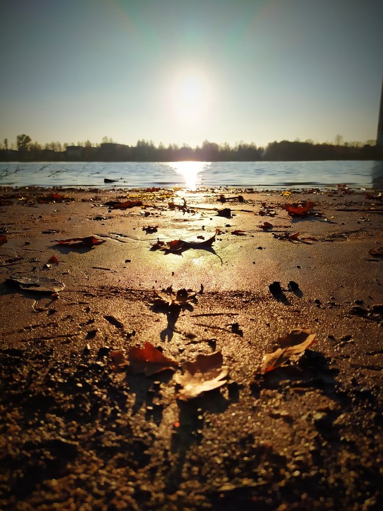 Photograph by Любовь Тарасова