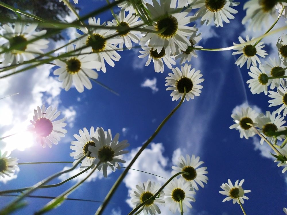 Photograph by Дина Горбачёва