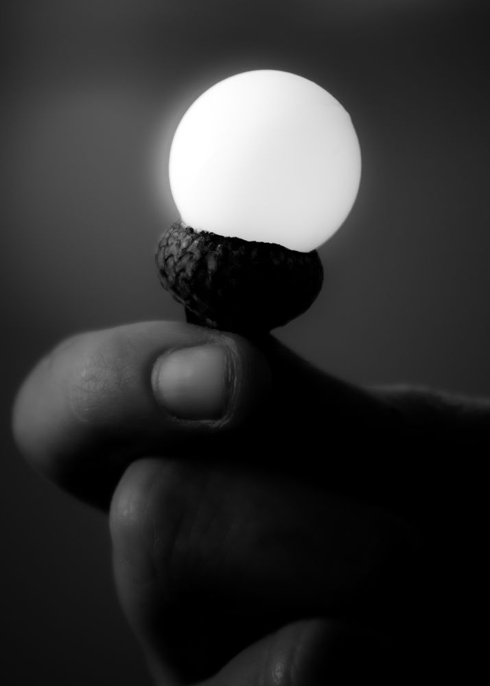 Photograph by Sergei Rukavitsyn