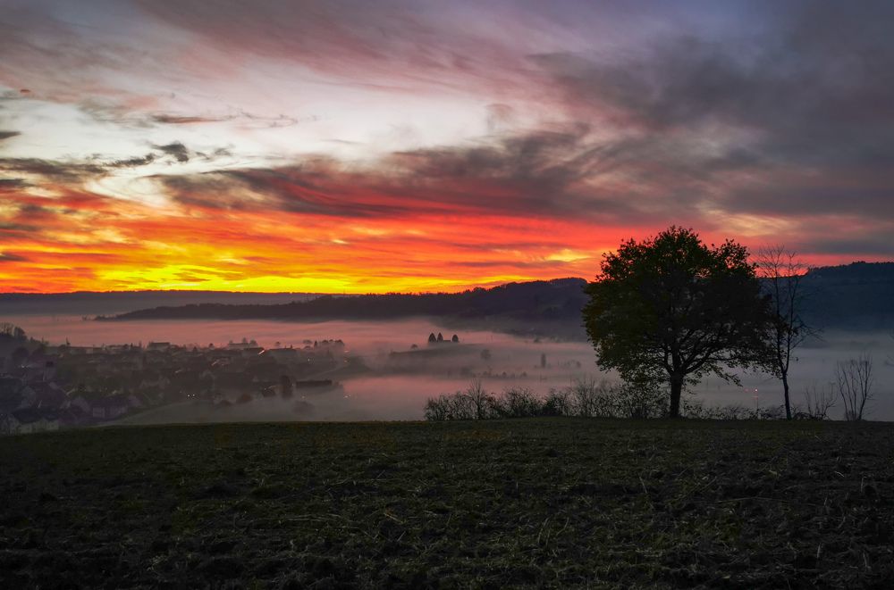 Photograph by Natalya  Podymahina