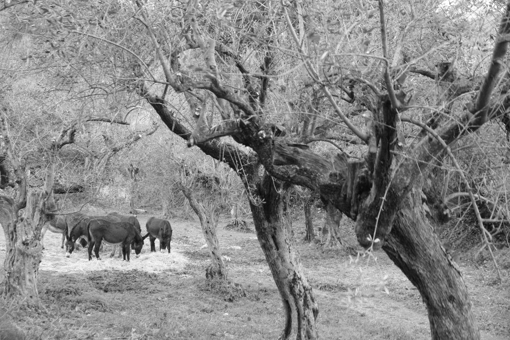 Photograph by Nadezhda Bakina