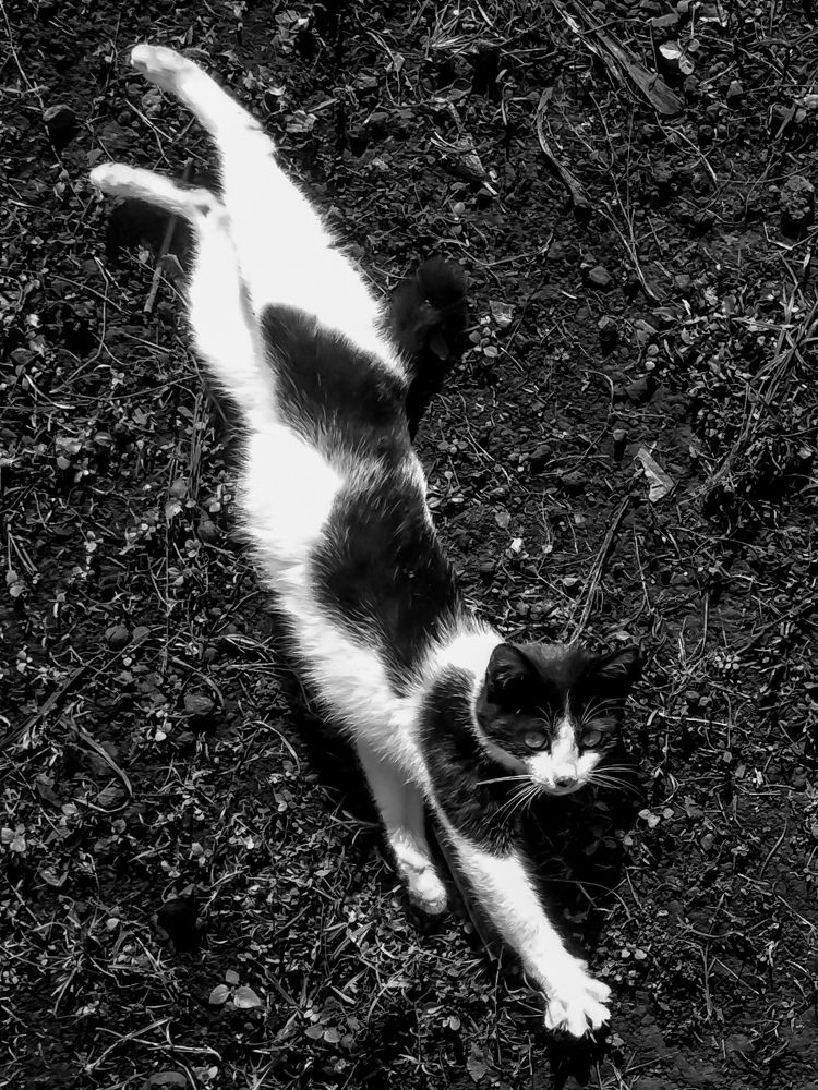 Photograph by Taufik Yusup Sukmana