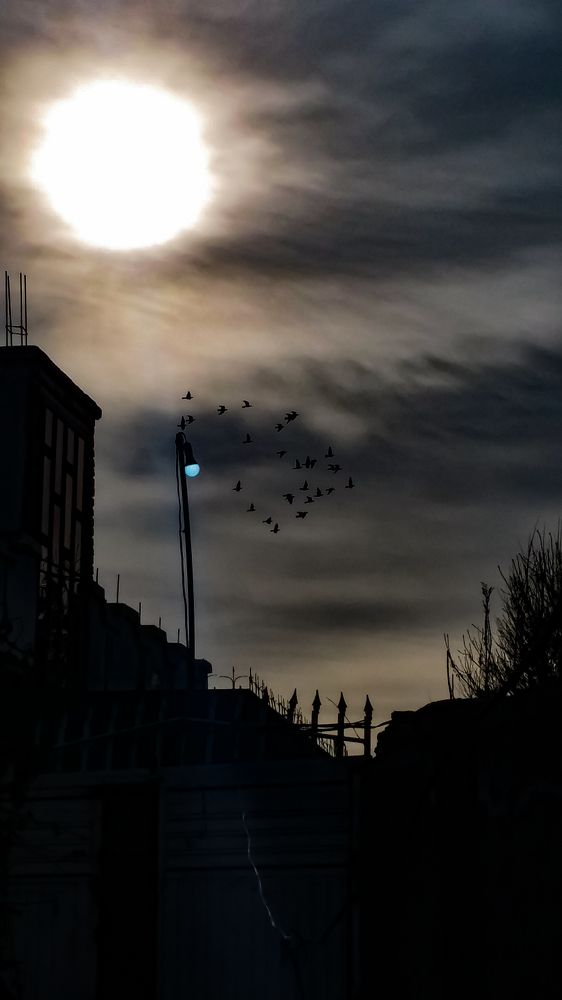 Фотография автора Faqirzada Sameer