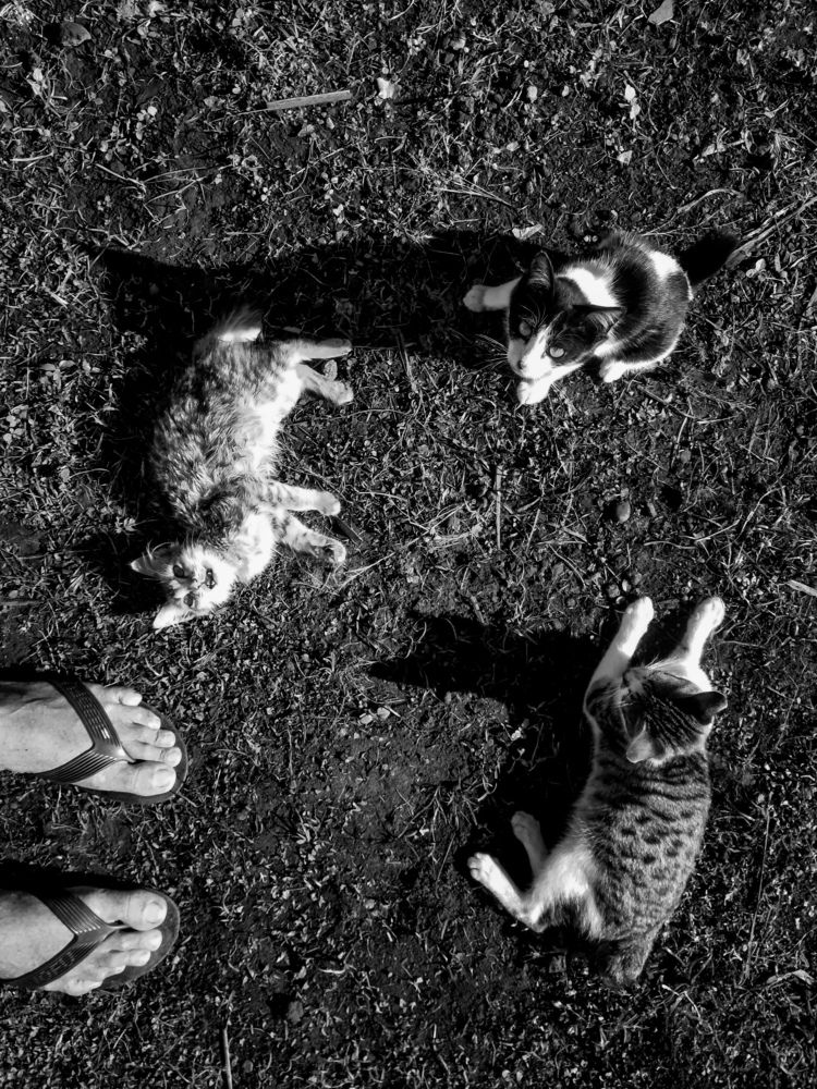 Photograph by Taufik Yusup Sukmana