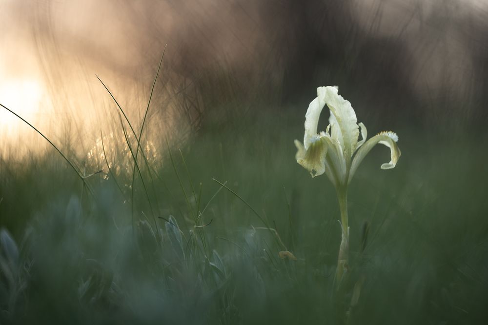 Провожая солнце