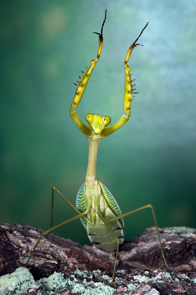 Photograph by Marcus Kam