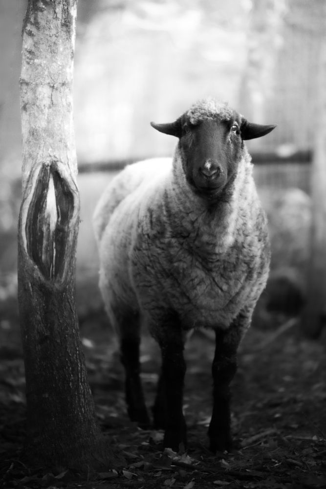 Photograph by Sergei Rukavitsyn