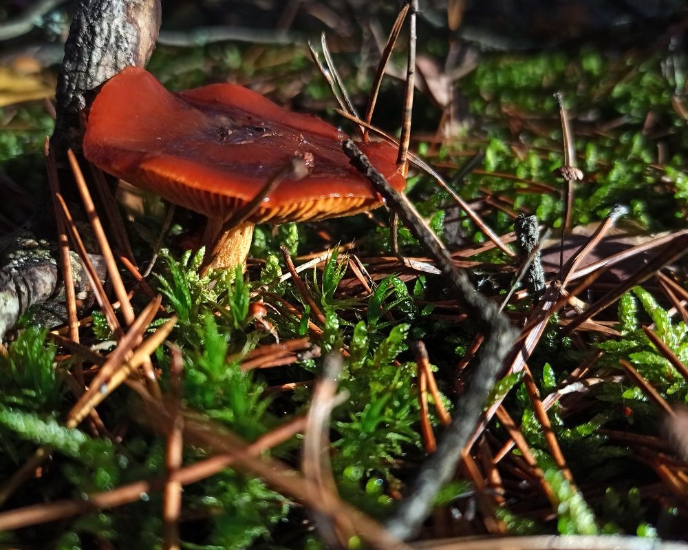 Photograph by Вадим Ковалев