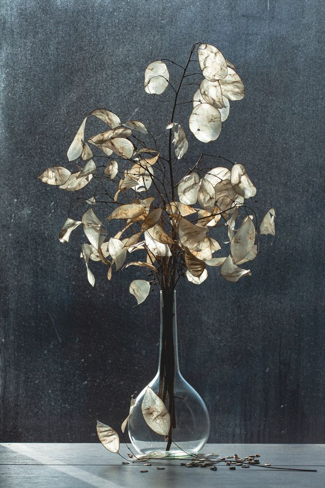 Photograph by Yulia Ivanova