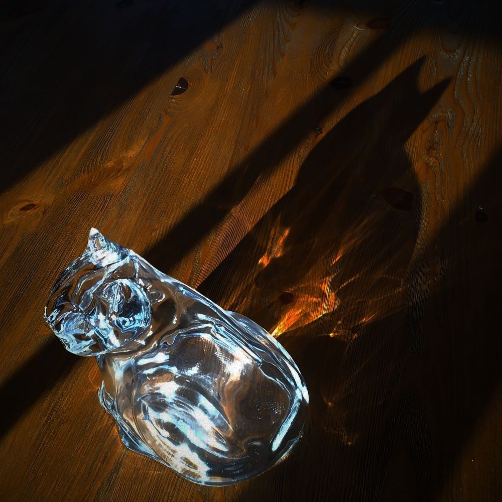 Photograph by Елена Павлова