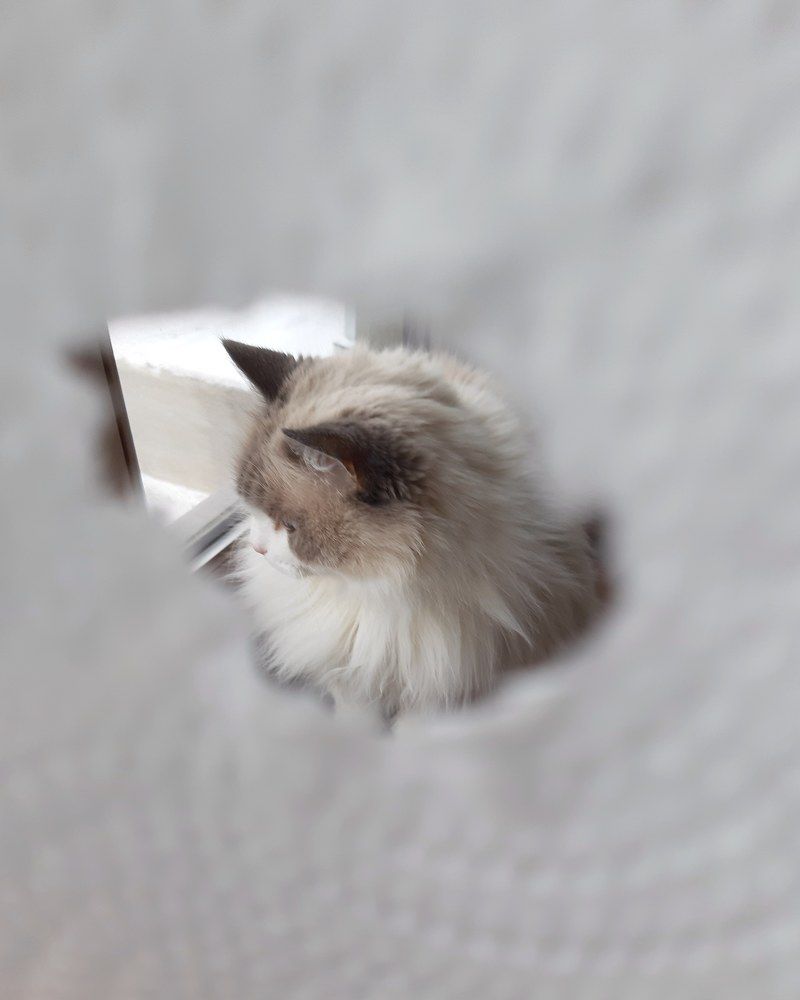 Photograph by Виктория Стецко