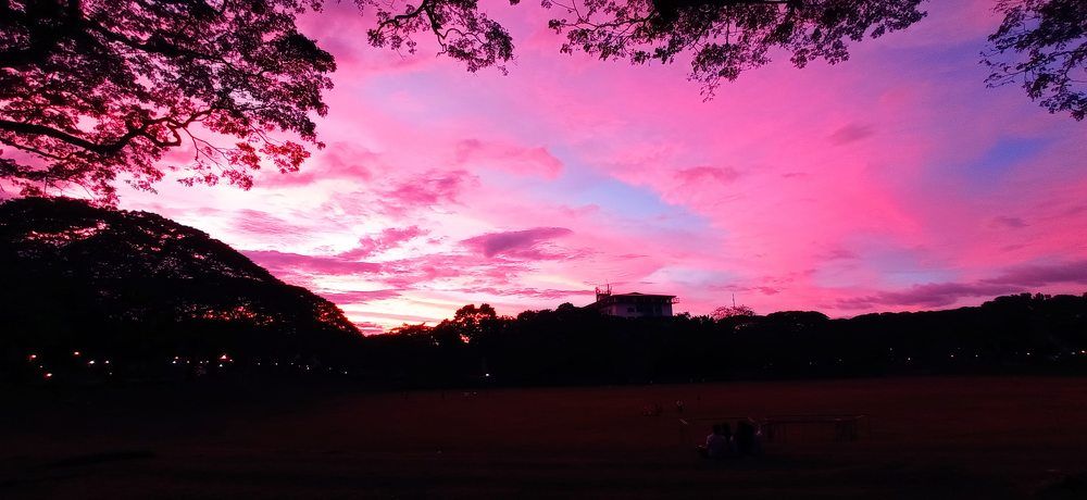 Pink Sky