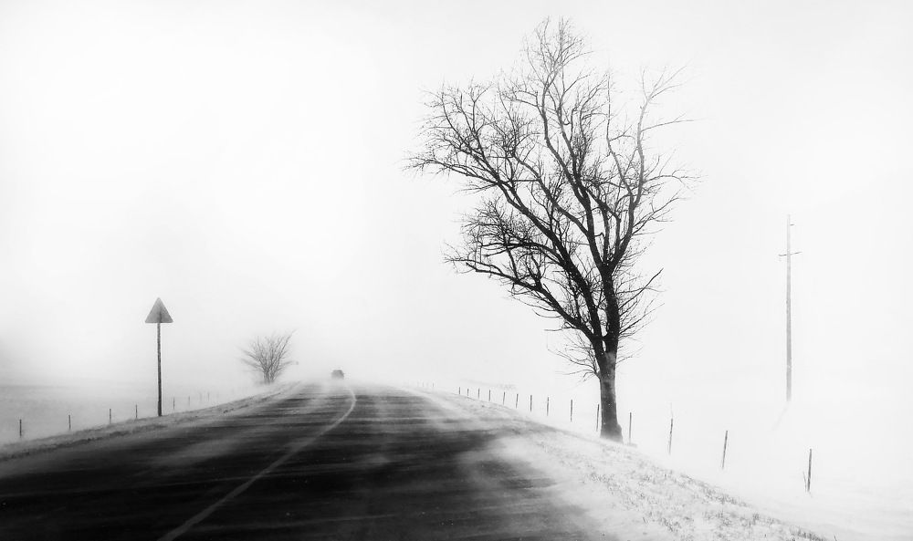 Зимнее одиночество