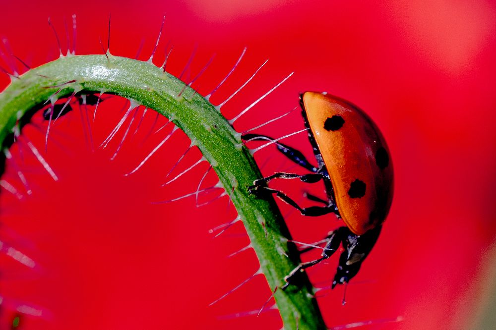 Photograph by Marc Vanduffel