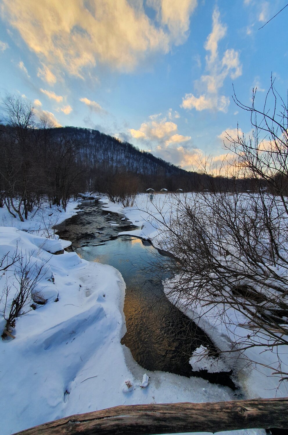 Photo #5779933
