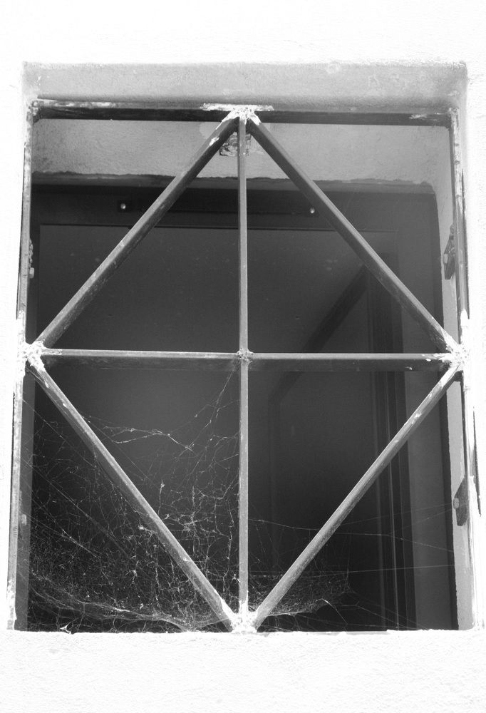 Photograph by Nadezhda Bakina