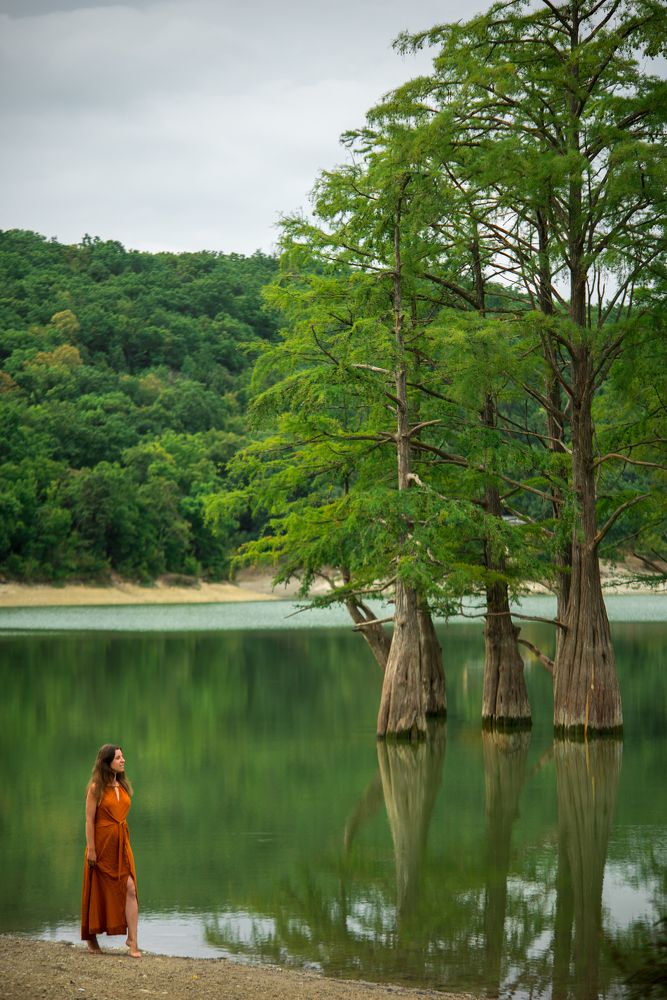 Болотные исполины