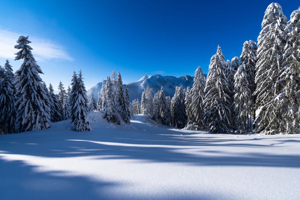 Photograph by Theo Crazzolara