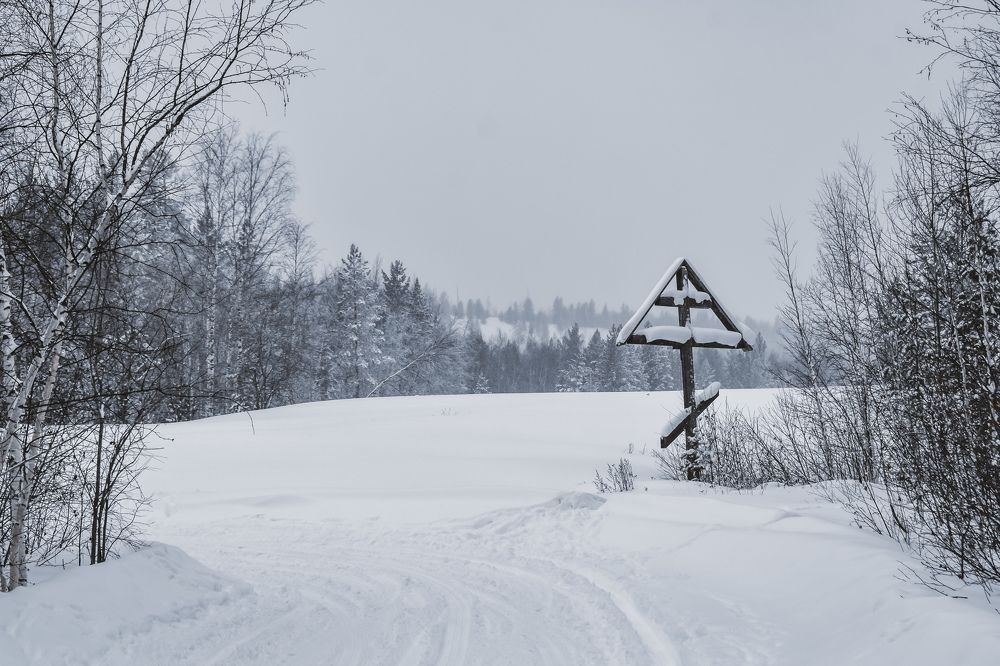 Photograph by Амир Гильмутдинов