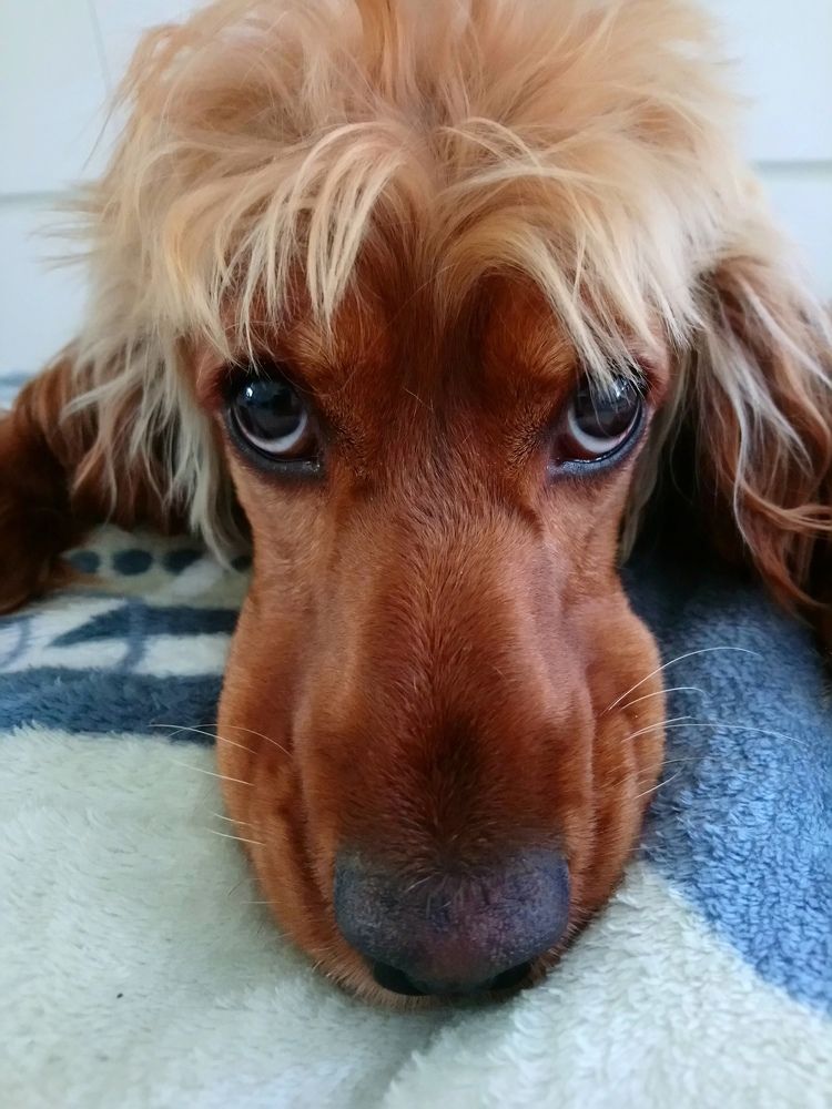 Photograph by Людмила Воропаева