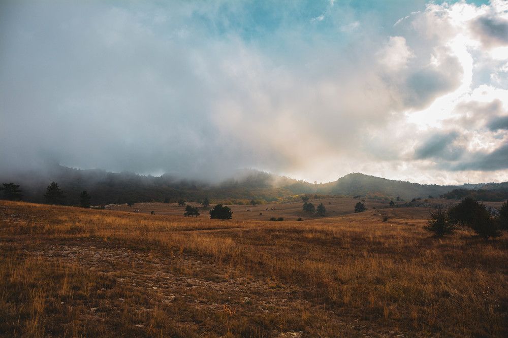 Photograph by Ангелина Быканова