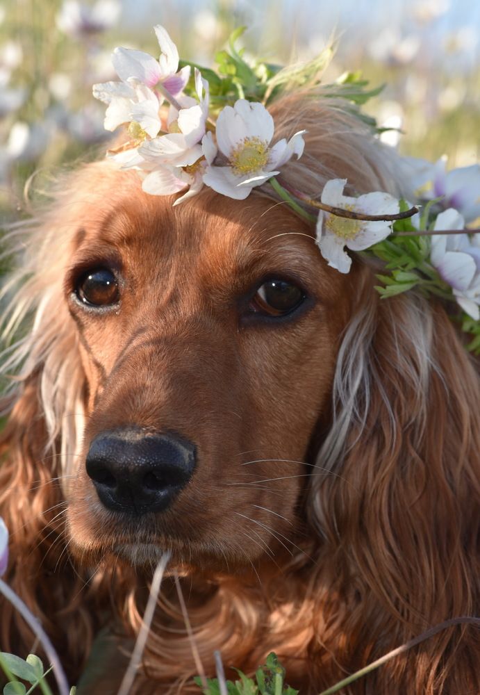 Photograph by Людмила Воропаева